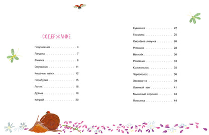 Nos couleurs