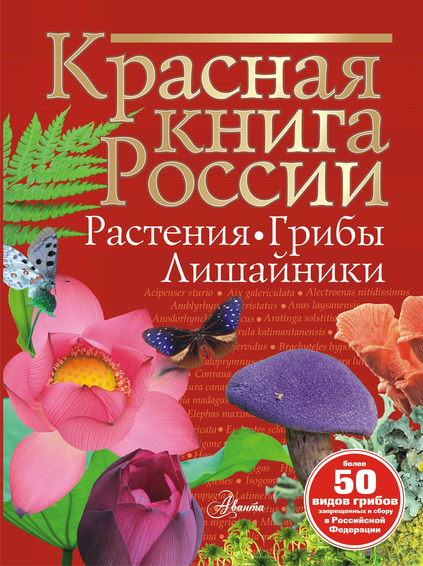 Красная книга России. Restauration des Griffes de Lituanie