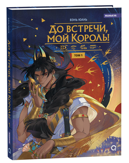 Вэнь Юань. До встречи, мой король! Tome 1