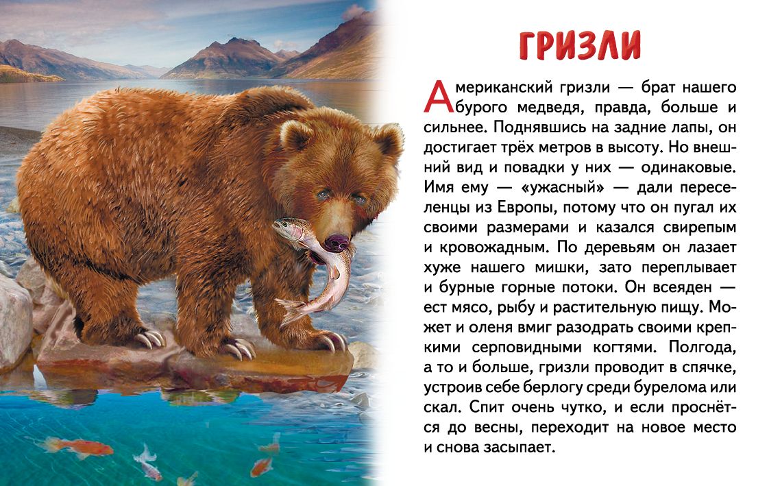 Cartes. Животные Северной Америки ; Cartes. Животные Северной Америки