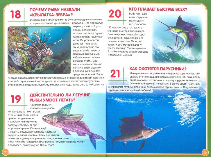 Подводный мир.123 вопроса-123 ответа
