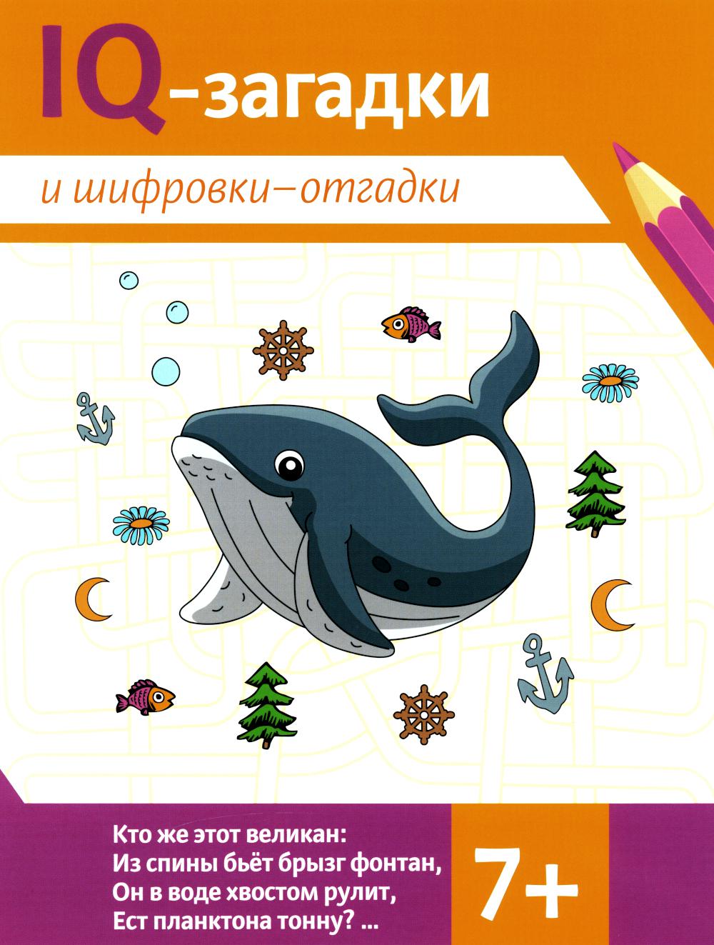 Niveaux de QI et niveaux de QI : 7+