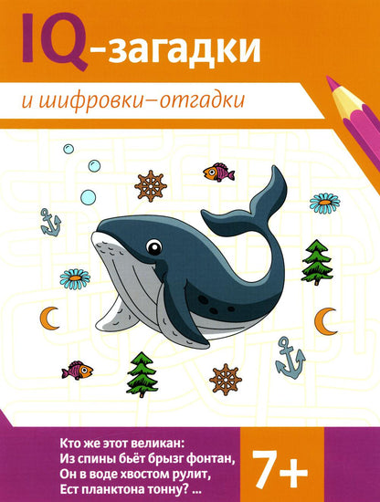 Niveaux de QI et niveaux de QI : 7+