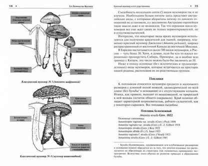 Его Величество Мухомор.-М.:РГ-Пресс,2023. /=241829/