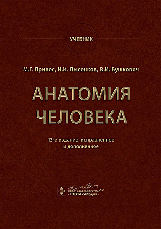 Анатомия человека : учебник / М. Г. Привес, Н. К. Лысенков, В. И. Бушкович. — 13-е изд., испр. и доп. — Москва : ГЭОТАР-Медиа, 2024. — 896 с. : ил.