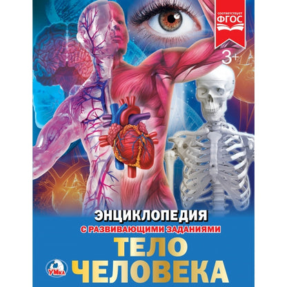 C'est un téléphone. (Энциклопедия А4 с развивающими заданиями). Тв. переплет. 48ст. Умка в кор.15шт