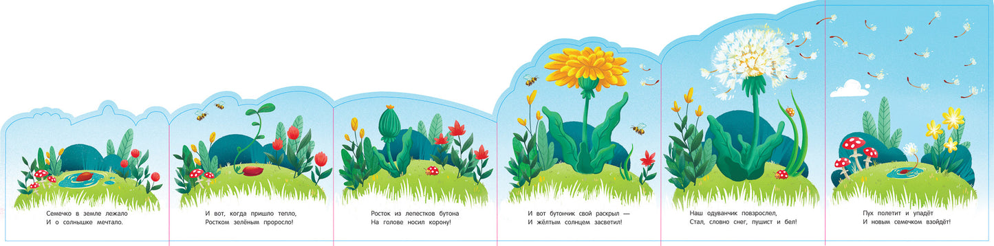 Одуванчик: книжка-гармошка