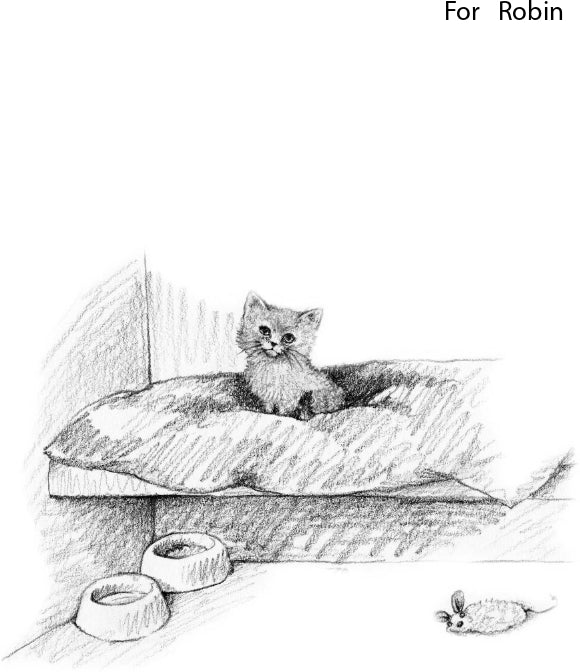 Котёнок Одуванчик, или Игра в прятки = Smudge le chaton volé