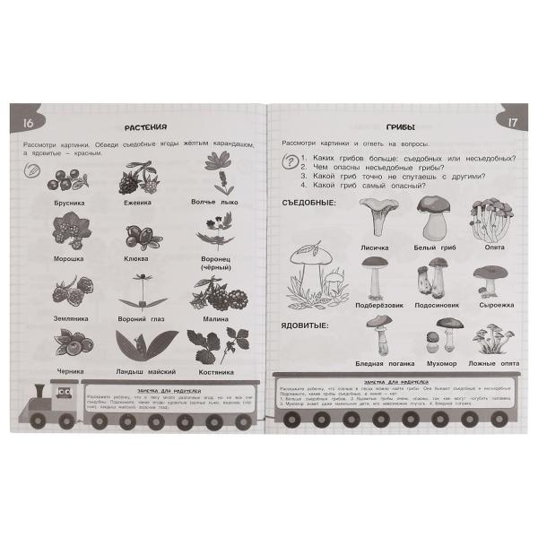 Brochure "Окружающий мир". Жукова М. Et.. Un séjour de 365 jours à l'école. 64 pièces. Умка в кор.20шт