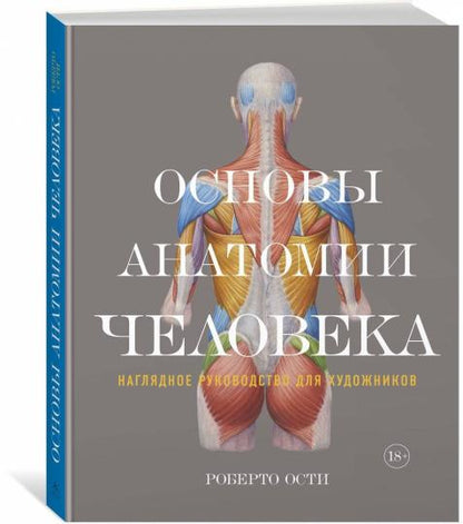 Основы анатомии человека. Наглядное руководство для художников