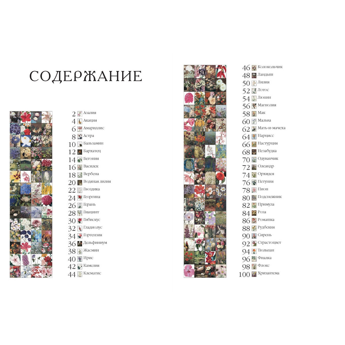 Цветы