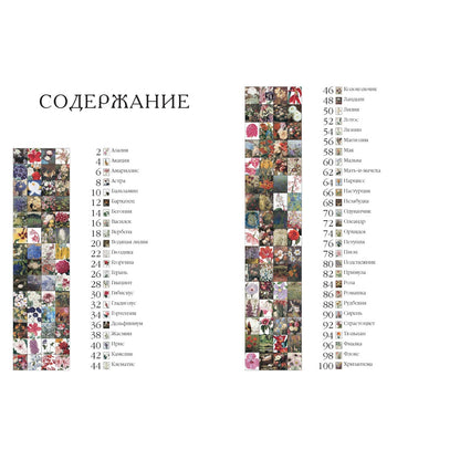 Цветы