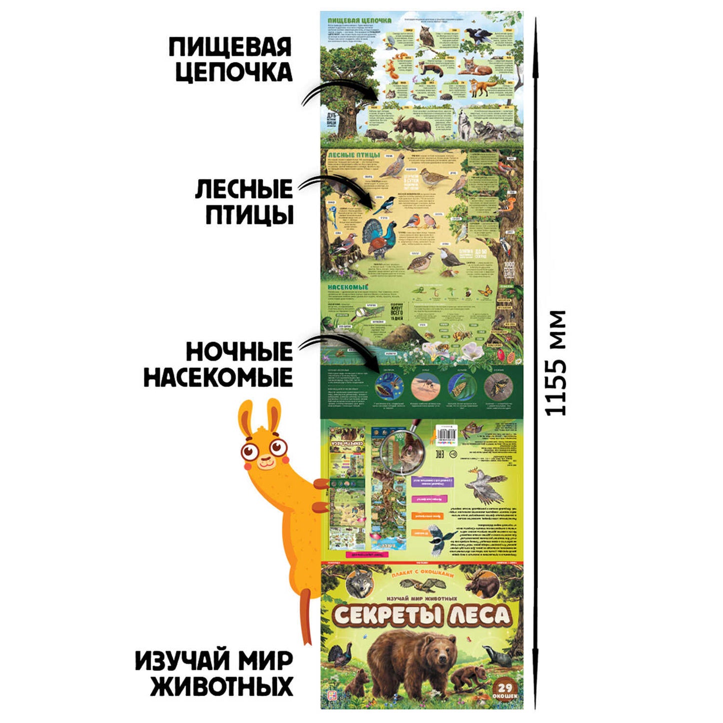 Malamalama. Плакат с окошками "Секреты леса" 29 окошек
