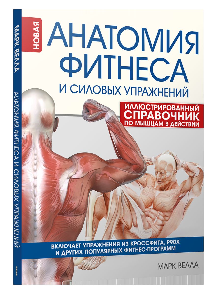 Анатомия фитнеса и силовых упражнений: илл.справ.