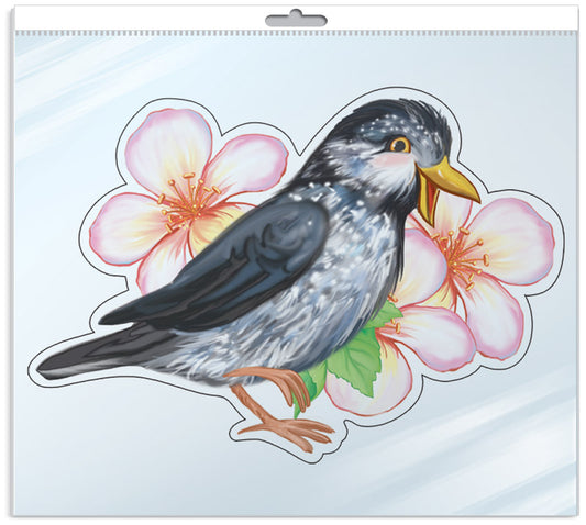 *ФМ-11367 ПЛАКАТ ВЫРУБНОЙ А4 В ПАКЕТЕ. Скворец (в индивидивидуальной упаковке с европодвесом и клеевым клапаном)