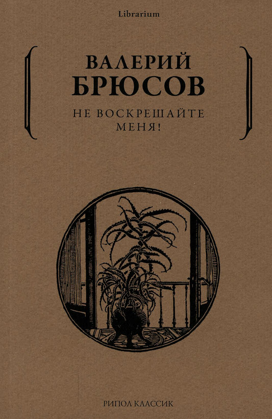 Ne vous inquiétez pas!. Брюсов В.Я.