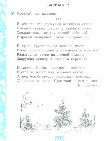 Дьячкова. УМКн. Проверочные работы. Литературное чтение 2кл. Климанова, Горецкий. ФГОС НОВЫЙ (к новому учебнику)