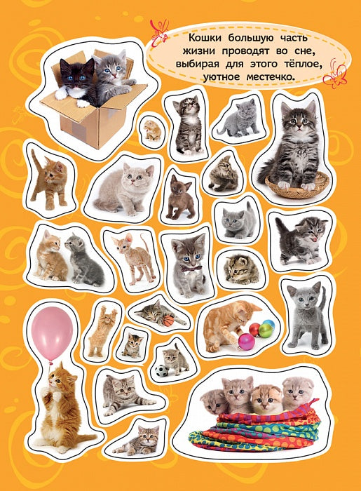 100 autocollants. Котята