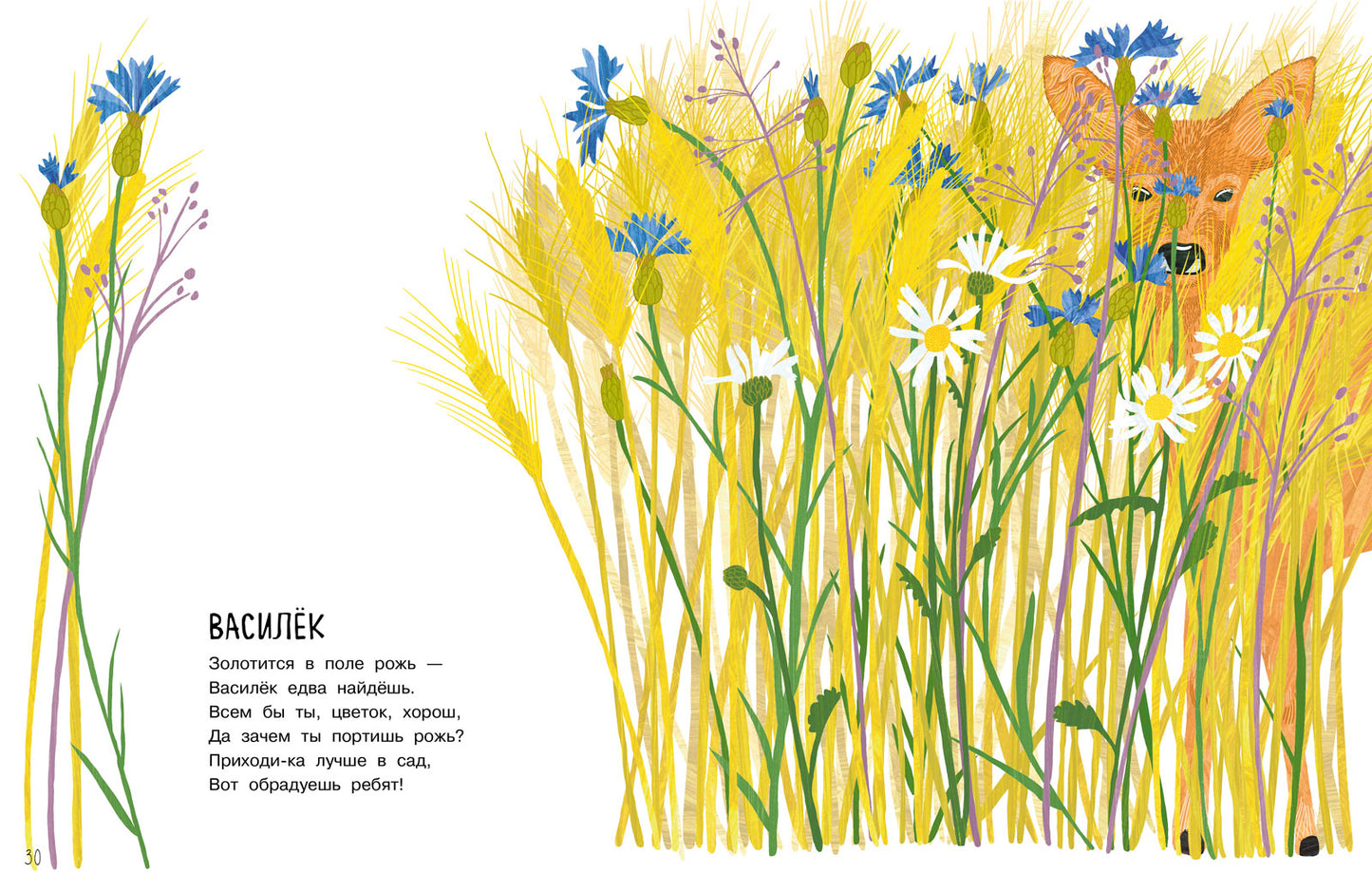 Nos couleurs