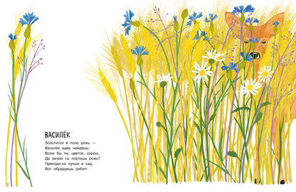 Nos couleurs