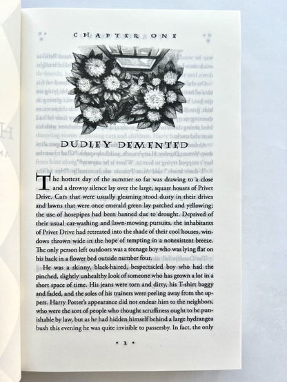 Harry Potter and the Order of the Phoenix (Гарри Поттер и Орден Феникса)