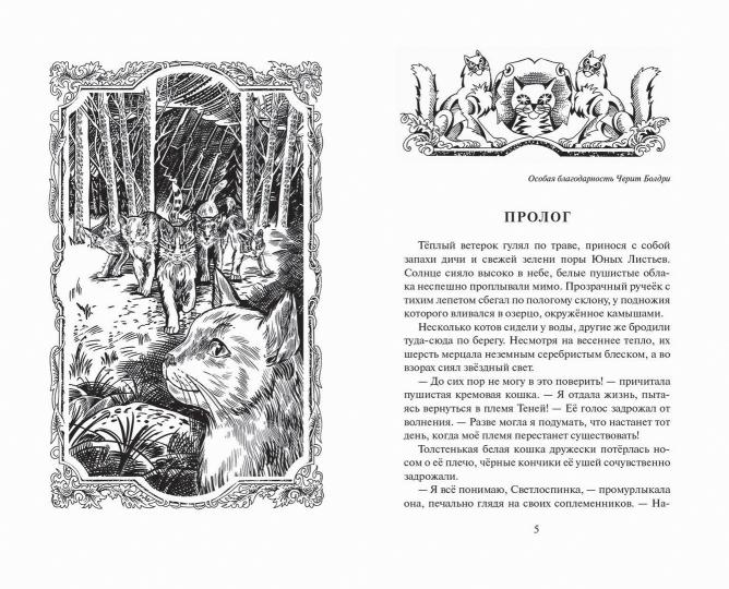 Коты-воители. Цикл "Видение теней". Огненная река
