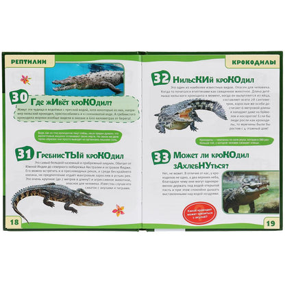 "УМКА". РЕПТИЛИИ. 100 ФАКТОВ (ЭНЦИКЛОПЕДИЯ С РАЗВИВАЮЩИМИ ЗАДАНИЯМИ А5). ТВЕРДЫЙ ПЕРЕПЛЕТ в кор.22шт