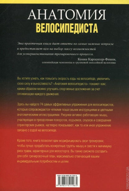 Анатомия велосипедиста