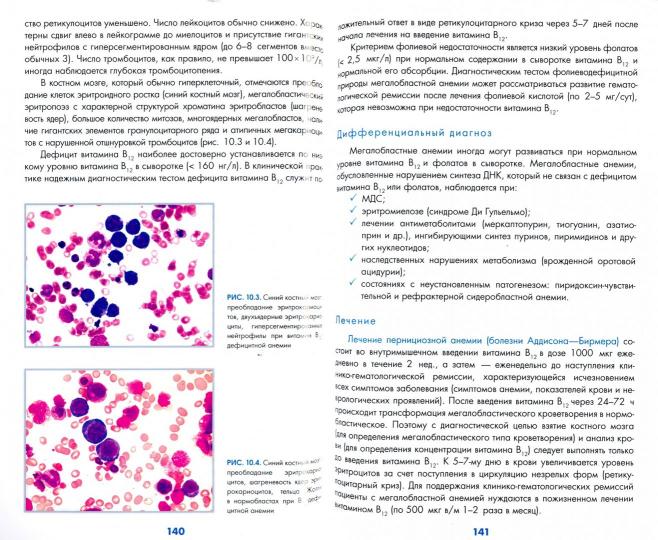 Учебник по гематологии