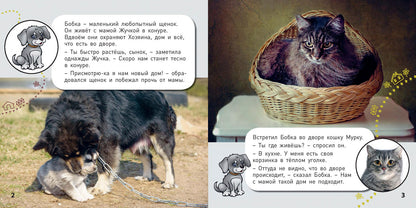 Qu'est-ce qui se passe? (ожидается поступление)