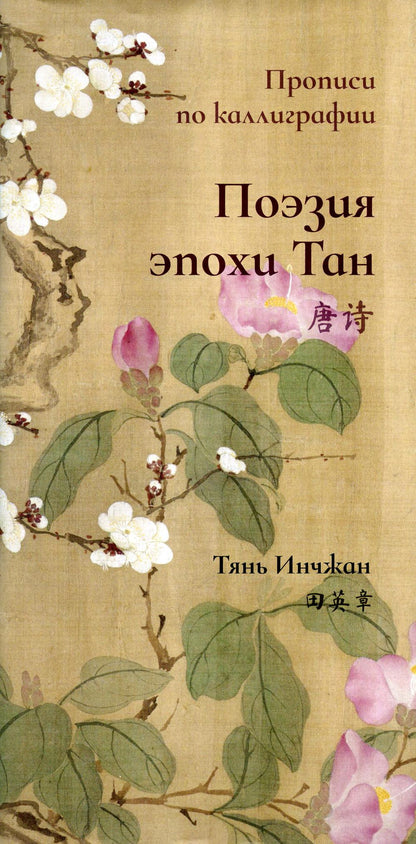 Поэзия эпохи Тан. Propriétés de la calligraphie