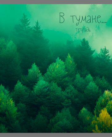 Тетрадь 48л,В тумане,ассортим ТК488659