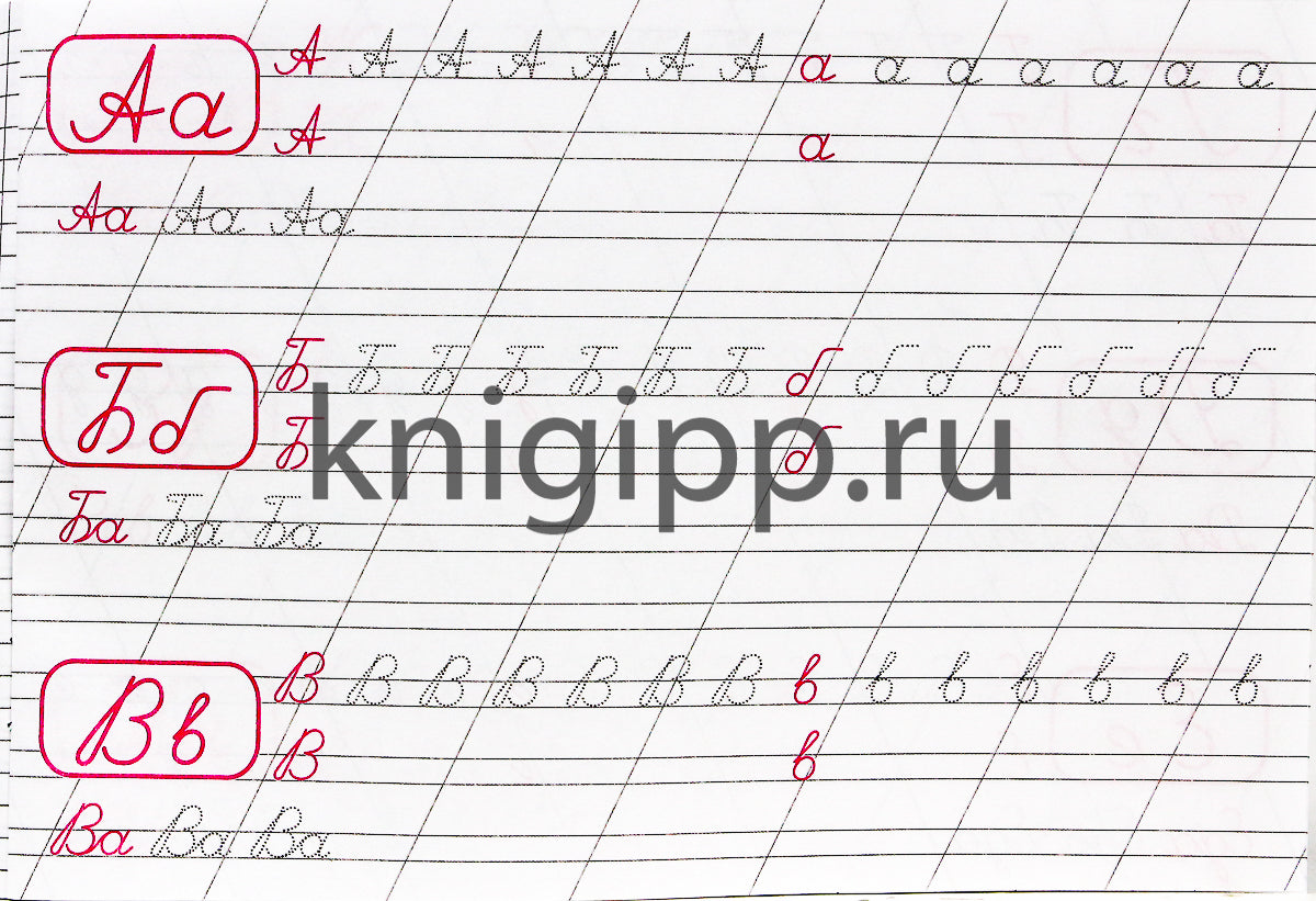 КАЛЛИГРАФИЧЕСКАЯ ПРОПИСЬ А5. album. ПИШЕМ ЦИФРЫ, БУКВЫ, СЛОГИ