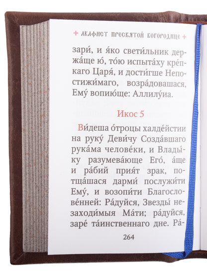 Православный молитвослов. Гражданский шрифт