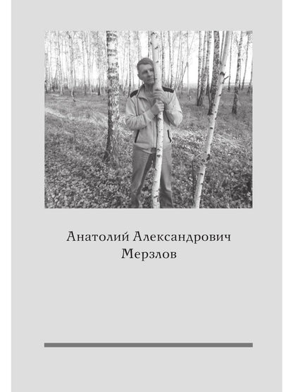 России ивовая ржавь. Сборник рассказов