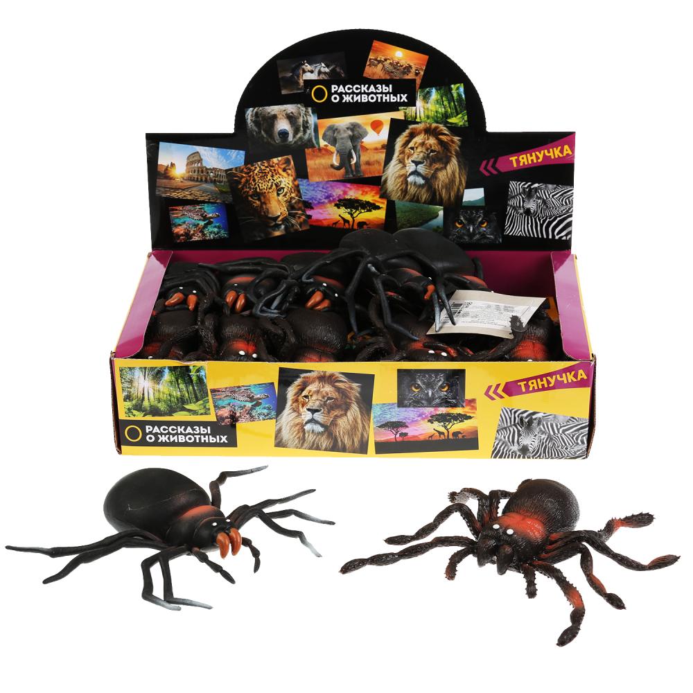 Jeu en plastique pour jeu de rôle en plastique pour jeu de 12,5 cm 2 pouces, 36 pouces/écran