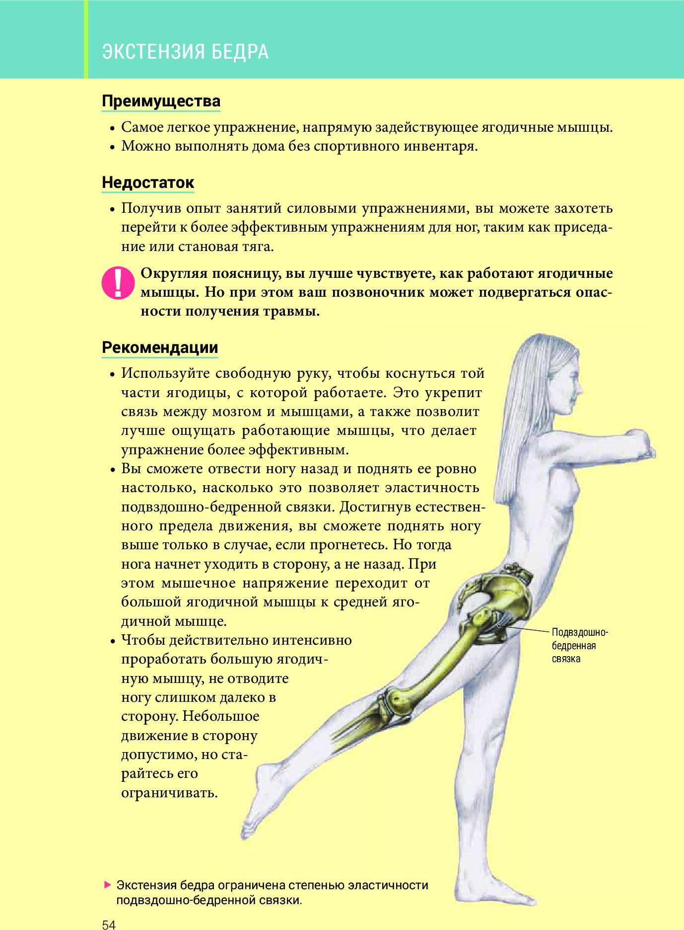Анатомия силовых тренировок для женщин