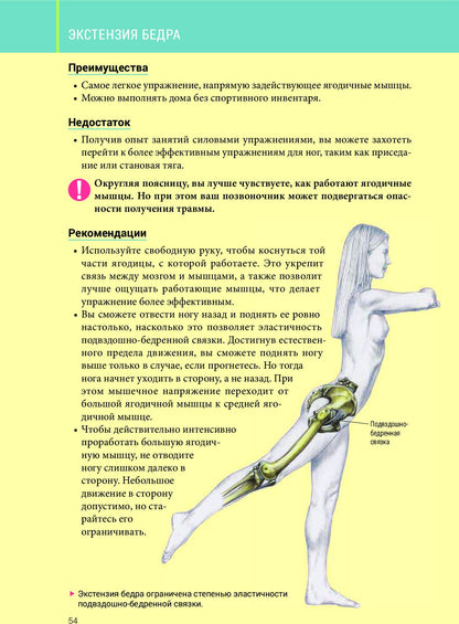 Анатомия силовых тренировок для женщин