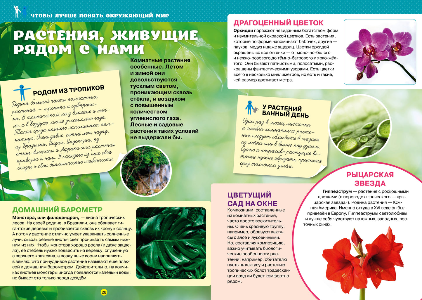 К школе готов! Тетрадь-тренажёр по математике, русскому языку, чтению и окружающему миру. 1 classe/N
