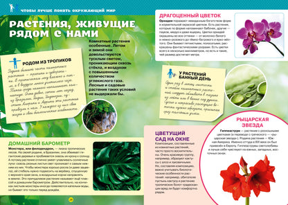 К школе готов! Тетрадь-тренажёр по математике, русскому языку, чтению и окружающему миру. 1 classe/N