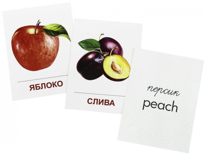 Démonstration de cartes super fruits. 16 sections de la carte avec le texte