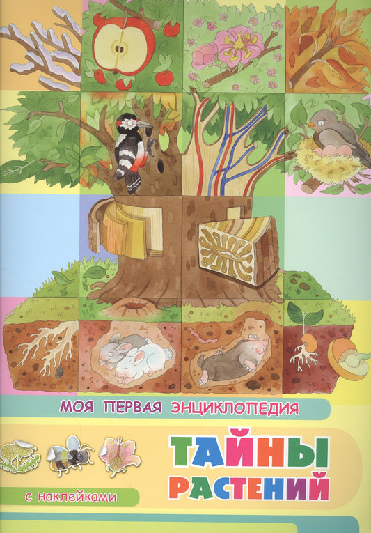 (Накл) Книжка с наклейками. Моя первая энциклопедия. Тайны растений (3452) меловка
