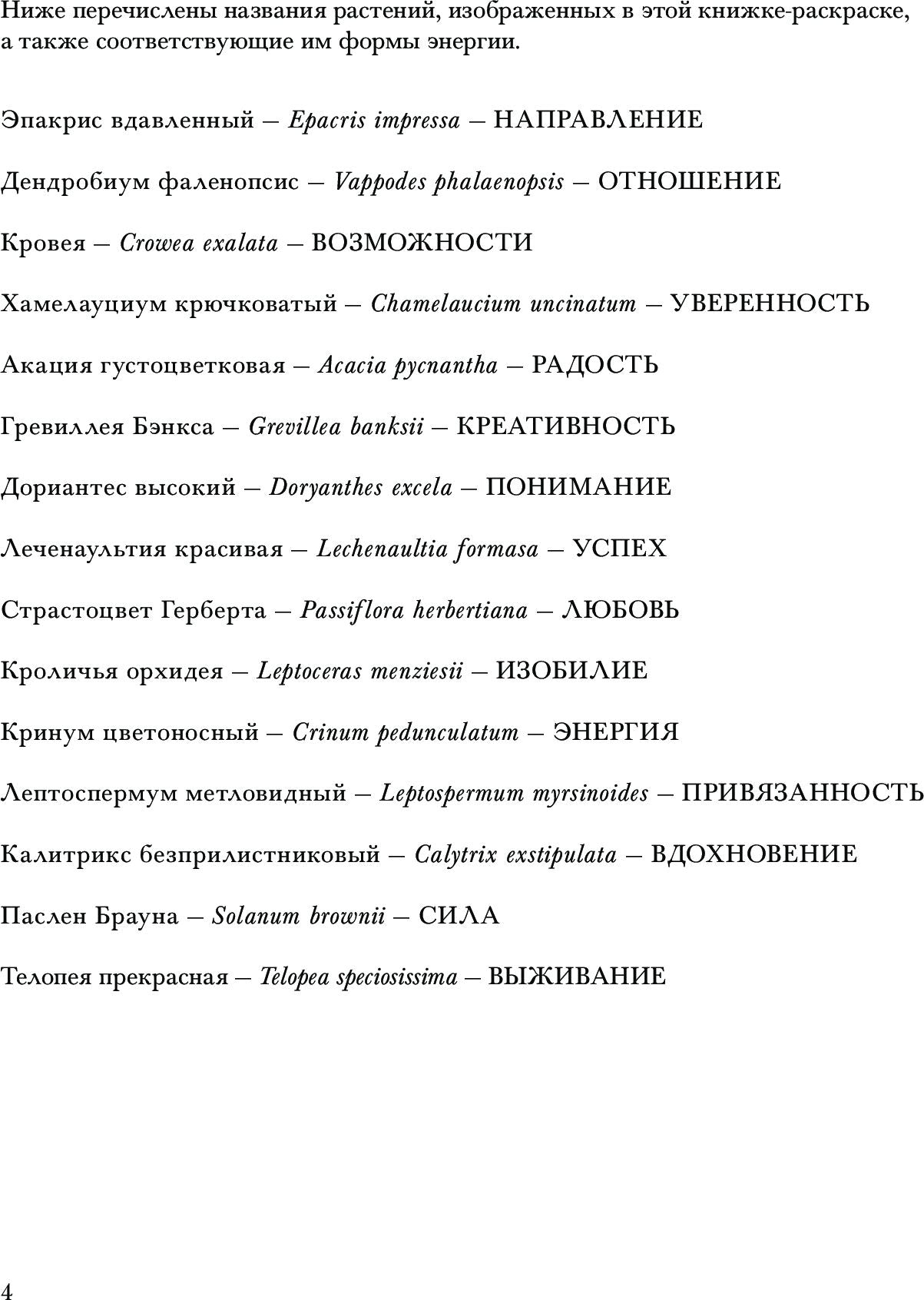 Флоросфера. Вдохновение