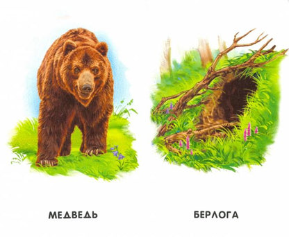 Сиреневые книжки (F) - Кто в домике живёт?
