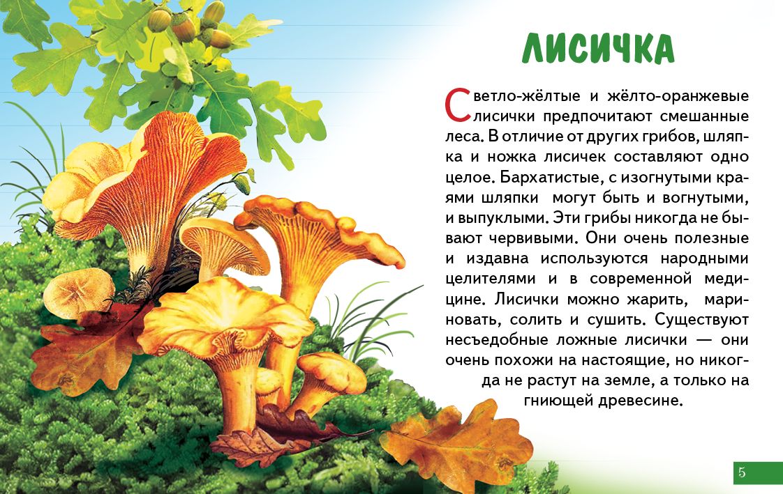 Cartes (европодвес). Грибы ; Cartes (европодвес). Грибы