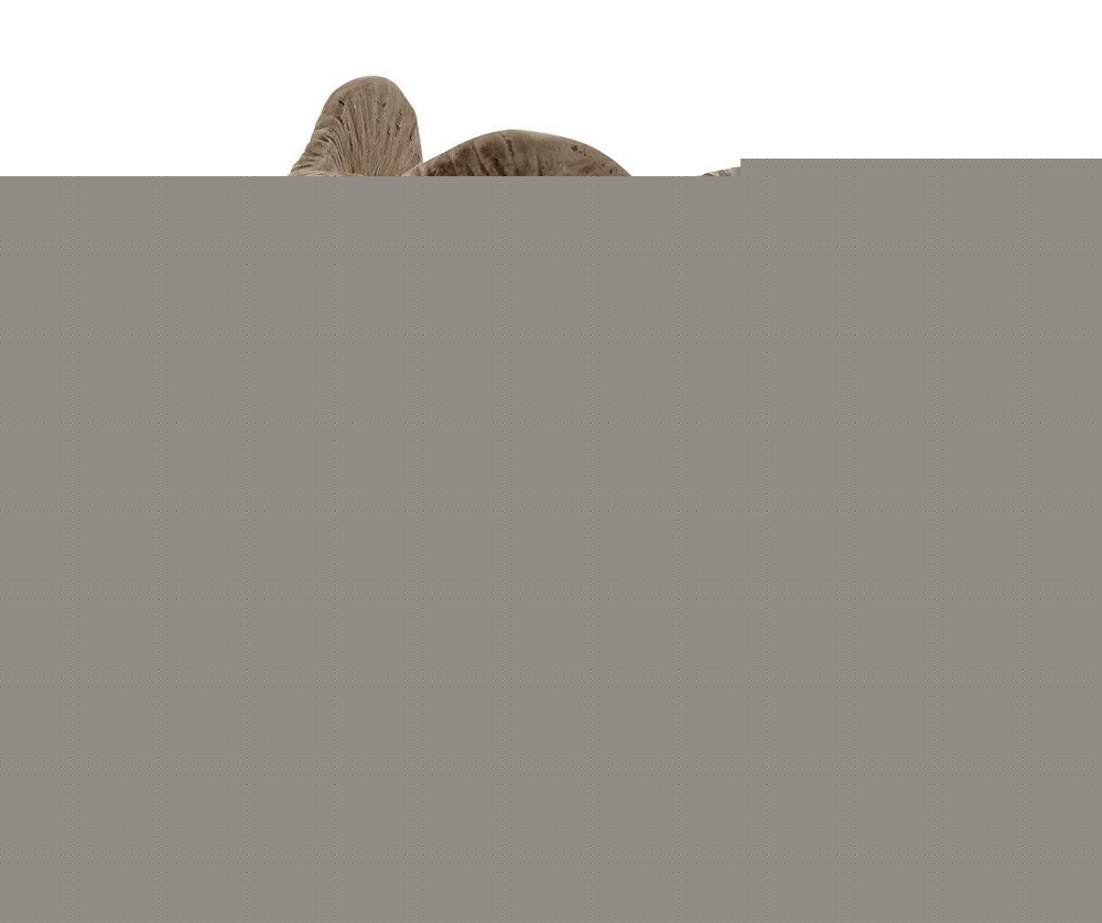 Schleich. Фигурка "Детеныш африканского слона" арт.14763