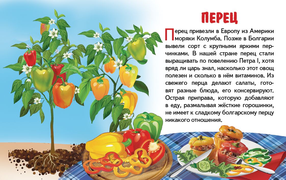 Cartes. Овощи ; Cartes. Овощи