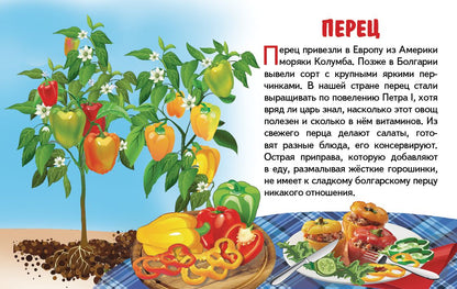 Карточки (европодвес). Овощи ; Карточки (европодвес). Овощи
