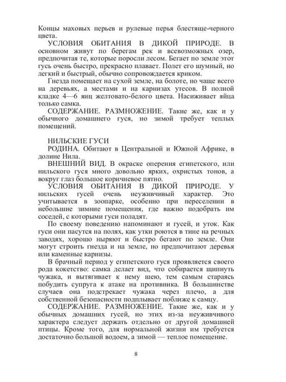 Такие знакомые птицы: гуси, лебеди, утки, куры, стрижи, совы, орлы, соколы