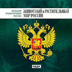 Большая Энциклопедия России. Животный и растительный мир России (CD-ROM)(30730)